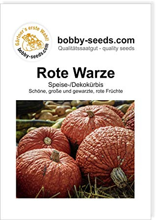 Rote Warze Kürbissamen von Bobby-Seeds, Portion