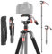 AMBITFUL GM01 KIT Trípode para Cámara Réflex Digital, con Bolsa de Transporte, Placa de Liberación Rápida, Profesional para Canon, Nikon, Videocámara (GM02)