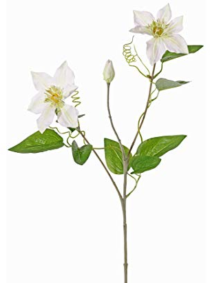 Flor Artificial de clemátides, con 7 flores color blanco, altura 80 cm – kunsb lúmenes Flores Artificiales de plantas artificiales Plantas Flores