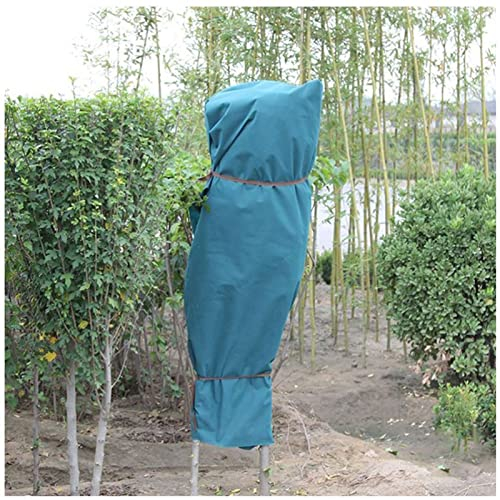 LEVINE Pflanzen-Frostschutzabdeckungen, Gartenvlies-Frostschutz, Pflanzen-Kältebeutel, Pflanzenvlies-Frostschutz for Bäume, Sträucher, Pflanzen (Größe: 2 x 1,5 m) (Farbe: einfarbig, Größe: 2 x 2 m)