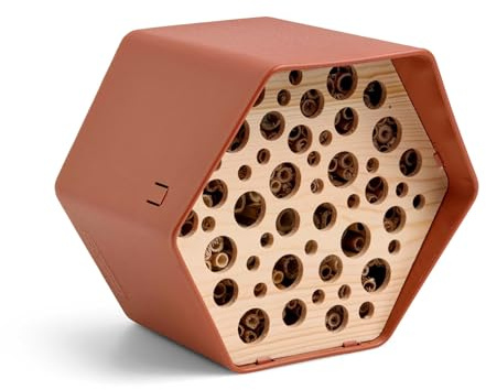 Capi Europe - Hotel per api Hive - 19x23x20 - Marrone - Olandese design - Capi Biodiversity Hive - ABEB021