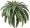 VeriNatural Set de 1 Helechos Artificiales Grandes 122cm-39 Hojas por Plantas Artificiales Decorativas Resistentes a Rayos UV-Plantas Falsas para Interior y Exterior de Hogar,Jardín,Mesa,Salón,VN141