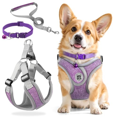 3 Stück Hundegeschirr und Leine Set, Verstellbares Brustgeschirr, Reflektierendes atmungsaktives Hundegeschirr mit D-Ring, Hundegeschirrs Set für Welpen, Kleine Hunde