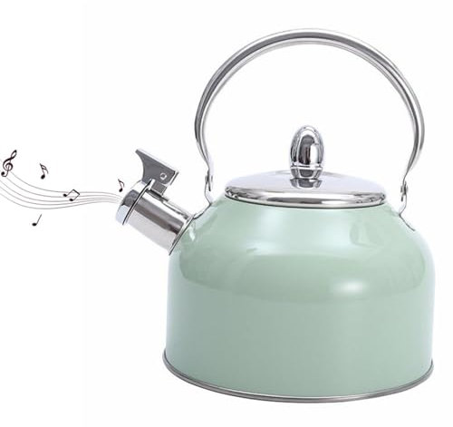 Bollitore a fischio in acciaio inossidabile | Bollitore per il tè di grande capacità | Bollitore con fischio con manico in gomma | Bollitore da tè per ristorante, bollitore da tè da 3 litri, teiera co