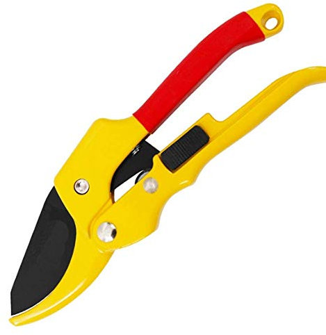 HYEFDWS Forbici da potatura manuali a cricchetto, Forbici da potatura Professionali con Lama in Acciaio SK-5, Forbici da Giardino, Forbici con Meno Sforzo