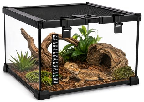 Glass Reptile Terrarium Insect Breeding Tank Vivarium Habitats for Lizards, Horned Frogs, Snakes, Spiders Reptile Glass Terrarium Tank Amphibians Box (Horizontal （30 * 30 * 20CM) with Thermometer)
