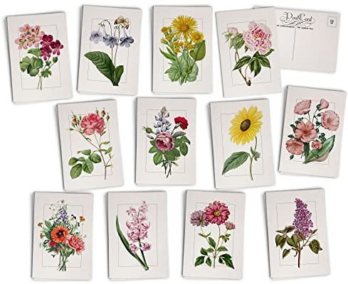 Vintage Floral Postcards - 24 Antique Flower Postcards - 12 Assorted Botanical Retro Book Illustration Cards Printed on Antique Textured Style Cardstock - Great for Spring, Summer, Gardening, & Nature
