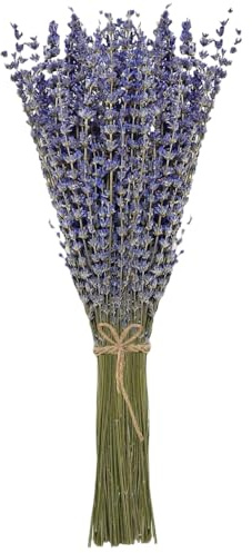 Damaiyyy Ramo de Lavanda Provenza - 100 Tallos de 42 cm de Largo - Flores Secas
