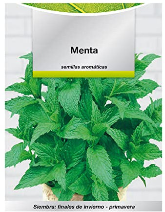 Semillas Aromaticas Menta (0.3 gramos) Horticultura, Horticola, Semillas Huerto.