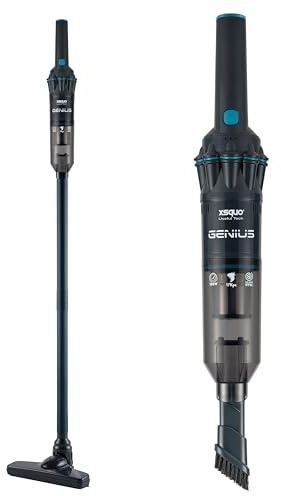 Aspiradora sin Cable Potente Ligera 2en1 de Mano y Vertical Portatil Inhalambrica para Casa Coche Tapiceria con Filtro Lavable con Motor Alta Velocidad Limpieza Facil Rapida Succion Eficiente