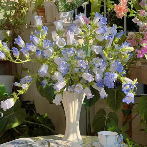 semillas de campanilla, adornos, Campánula mediana, resistentes para balcones de perenne resistente 150pcs