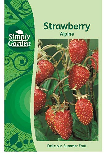 Simply Garden Strawberry Alpine Fresh Fruit Seeds Grow Your Own Garden
