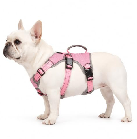 BELPRO Arnés de Apoyo Multiusos para Perro, a Prueba de Escape, Chaleco Reflectante Ajustable con Mango Duradero, arnés para Perros Grandes y Activos (Rosado,M)