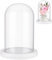 NBEADS Eternal Flower Glass Display Dome Cloche, Glass Display with White Wood Pedestal Bell Jar Cloche for Valentine's Day Mother's Day Flower Decorations Crafts, 11.3x16.3cm