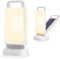 Lepwings Solar Camping Lights Rechargeable Lantern 4400mAh 80 Hours Battery Life for Tent, Emergency Outages, LED Dimmable Lamp Indoor/Outdoor Use [Energy Class A]
