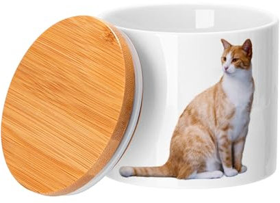 Fabulous Keramiktopf mit Bambusdeckel - Große Rothaarige Katze Lange Süße Hauskatze - 473 ml (16 Unze) - Topf
