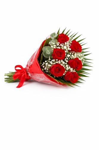 DECOALIVE | Ramo Natural de Rosas Rojas – 6 Rosas Frescas con Paniculata