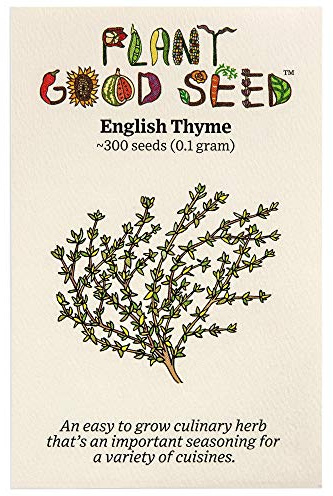 Plant Good Seed Organic English Thyme: Seeds for Planting, Perennial Culinary Herb, Delicate Green Foliage - 300 Seed Packet