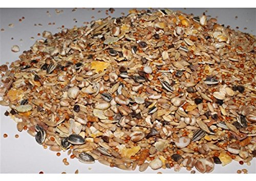 Anhaltiner Mäusefutter 1 kg Premiumfutter Mischfutter auf die Nahrungsbedürfnisse von Mäusen angepasst