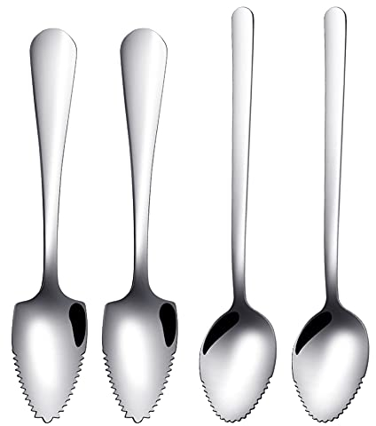 PHIEZC Cucchiaino da pompelmo in acciaio inox,cucchiaio da pompelmo,cucchiaio da frutta,cucchiaio da dessert,con bordo seghettato adatto per frutta e dolci[4 pezzi]