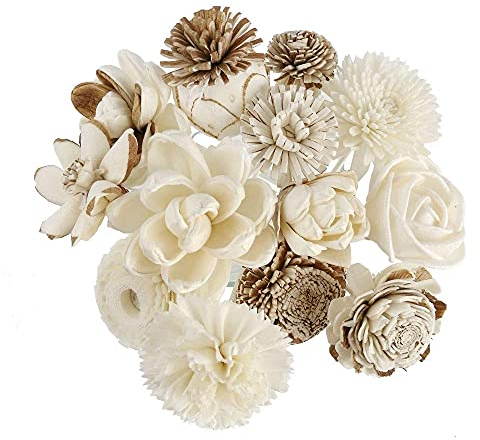 Plawanature Set of 12 Mixed Sola Wood Flower with Reed Diffuser for Home Fragrance Aroma Oil.