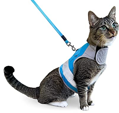 CAT SCHOOL Katzengeschirr und Leine, Set für Spaziergänge, Training und Reisen im Freien, sicheres, weiches, bequemes Katzengeschirr mit 3 m langer Katzenleine, einfach zu bedienen mit