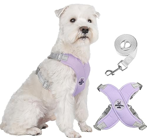 FEimaX Arnés para Perros Pequeños y Medianos con Correa, Arnes Perro Ajustable Antitirones de Malla Suave Cómodo Cachorros Chaleco Reflectante Transpirable para Mascotas Gatos