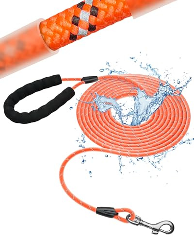 Laisse pour Chien - Imperméable et réfléchissante pour la sécurité - Légère, Solide et Robuste - Laisse d'entraînement avec dragonne - 5m/10m/15m/20m pour Petits, Moyens et Grands Chiens