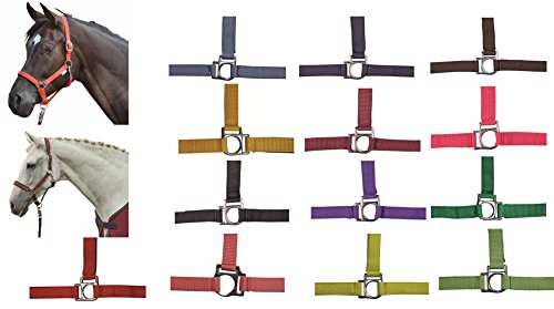 HKM 558536 Halfter Stars, Kaltblut, schwarz