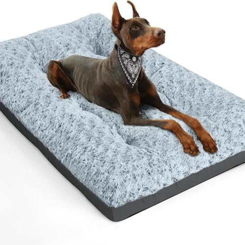 Genérico Cama Ortopedica para Perros Cojin Perro Ultra Suave Colchoneta Cama Perro Grande Lavable,Sofá CóModos Perros Y Gatos Apto para Mascotas Grandes, Medianas Y PequeñAs (M:74x46cm)