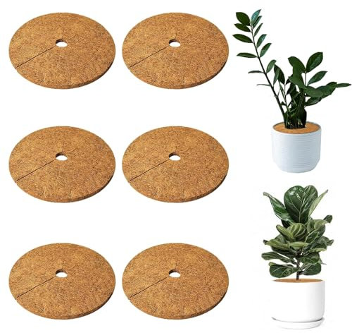 MeYuxg 6 Stück Kokosmatte Pflanzenschutz, 20cm Kokosscheibe, Kokosmatte Winterschutz für Pflanzen,Pflanzenschutz Frostschutz Kälteschutz Schutz vor Nässe und Frost