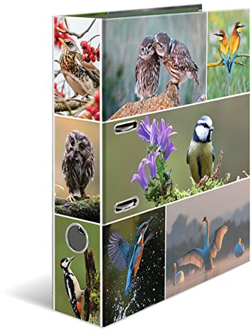 HERMA Ordner A4 Vögel, 7 cm breit, Kinder Ringordner mit Tier Motiv, bunter Aktenordner mit Innendruck für Jungen und Mädchen