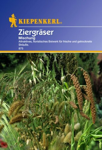 Kiepenkerl Ziergräser Mischung