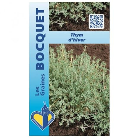 Sachet de graines de Thym d'hiver - 0,5 g - légume feuille - LES GRAINES BOCQUET