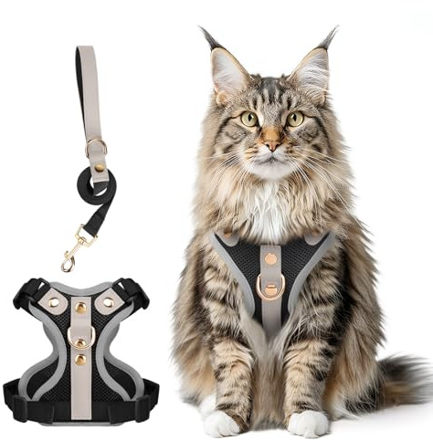 Muecleao Escape Proof Cat Harness and Leash Set, Premium Microfiber Leather Trim, Adjustable Reflective Vest Harness for Cats, Breathable No-Pull Kitten Harness with Soft Mesh (Black, S)
