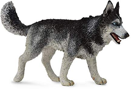 CollectA Siberian Husky