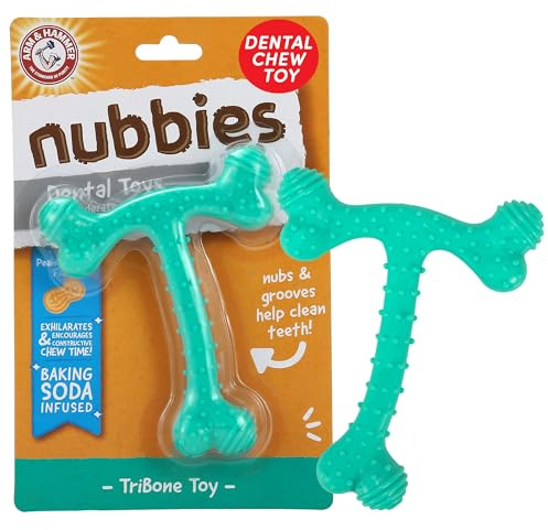 Arm and Hammer Nubbies T-Bone Dental Dog Chew Toy with Peanut Butter Flavor, TPR Nubs Clean Teeth and Gums, Durable Nylon Chew for Aggressive Chewers, Helps Reduce Plaque and Tartar