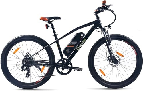 SachsenRAD E-Racing Mountain Bike R6 500Wh 13,4Ah E-Bike 27,5