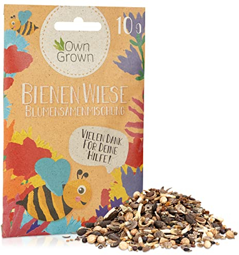 Bienenwiese Blumenmischung: 10g Premium Bienen Saatgut für Bunte Bienenweide, Bienen und Hummelmagnet – bienenfreundliche Blumensamen Mischung – Blumenwiese Samen – Blumensamen Geschenk OwnGrown