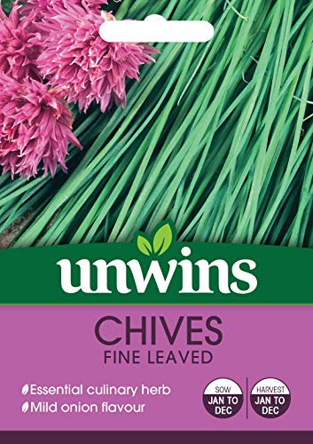 Unwins 30410066 Herb Chives Fine Leaved Seeds, Clear
