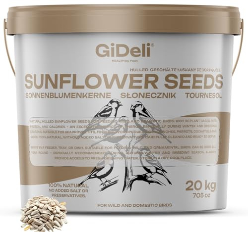 GiDeli Semi di girasole pelati, 20 kg, colore naturale, alimentazione per uccelli, uccelli selvatici, girasoli, in secchio