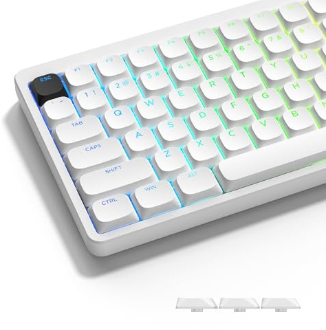 LQXQ Tangentbord med låg profil, 143 PBT-tangenter, ANSI US/ISO UK | för 60 %, 65 %, 75 %, 80 %, 100 % mekaniskt tangentbord, vitt (endast tangentkåpor)