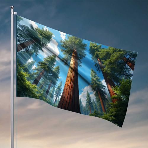 Bandera para hombre, diseño de bosque de secuoyas, árboles majestuosos bajo el cielo azul, banderas para habitación y adolescentes, bandera de jardín de otoño (152 x 244 cm)