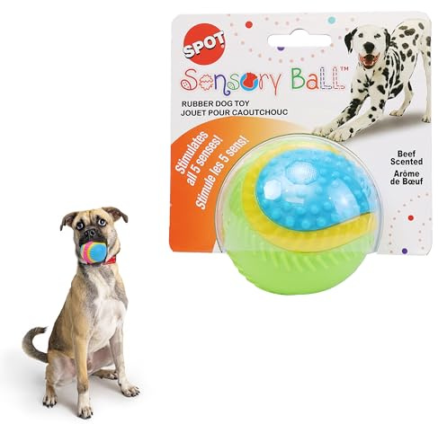 SPOT Sensory Ball Dog Toy for Soft Chewers – 3.25-Inch Durable TPR Rubber Ball with Squeaker and Bell, Textured for Gentle Chewing, High-Contrast Colors for Indoor & Outdoor Fetch Play