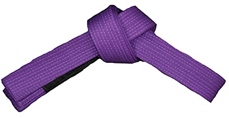 ROX Fit BJJ Belts Brazilian Jiu-Jitsu Belts Durable Lightweight Design Competition (A3 (300 cm), Purple)