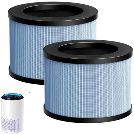 GIONAR 2 Pack CONOPU DH-JH01/JH06 True HEPA Replacement Filter for DH-JH01 & DH-JH06, 4-in-1 High-Efficiency Filtration, Compatible Replacement for Air Purifiers, HEPA H13 Replacement Filter