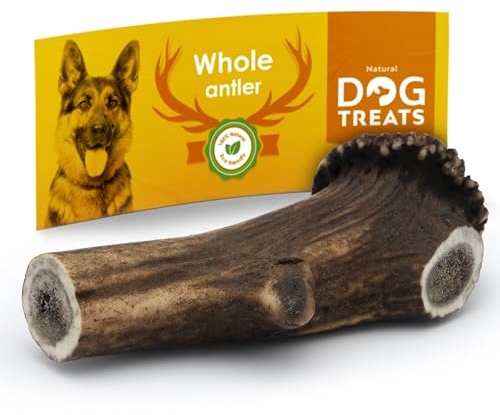 Natural Dog Treats – Cani Antler dei cervi – Naturale corna di cervo per cani – Ossa da masticare – Bastoni da masticare per cani – Giocattolo da masticare e cura dei denti – Giocattolo per cani –