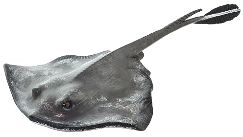 Safari Giftiger Stechrochen 17,8 cm | Tierfiguren | Kinderspielzeug | Ungiftig und BPA-frei | Für Kinder ab 3 Jahren geeignet Ltd.