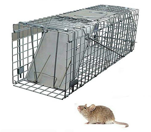 Autofather Cage à piège pour animaux vivants Motif écureuil, raton et lapin 61 x 19 x 21 cm