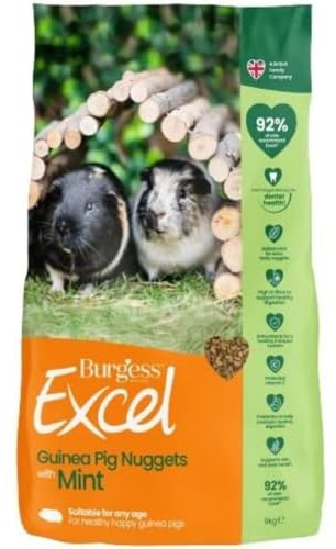 Burgess Excel Guinea Pig Nuggets with Mint 9kg, Green